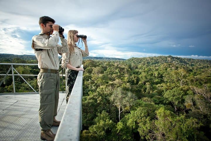 Pantanal & Amazon Holiday: 8-Day Private Wildlife Tour from Cuiabá photo 6