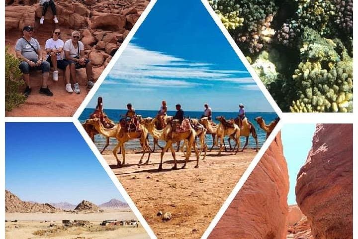 Sharm El Sheikh Magic Trip: Quad Bike Desert Safari, Camel Ride & Intro Scuba photo 5