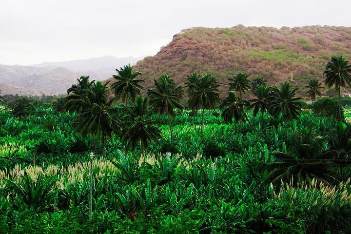 Santiago Island Banana Plantation, Natural Park & Local Cooking Workshop photo 3