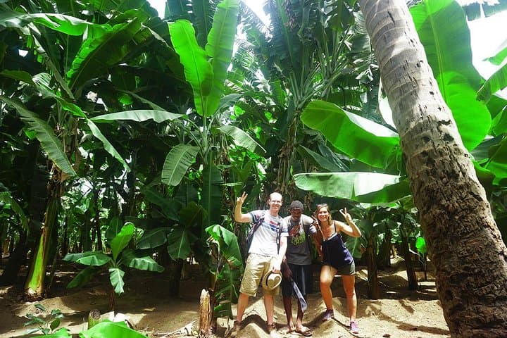 Santiago Island Banana Plantation, Natural Park & Local Cooking Workshop photo 2