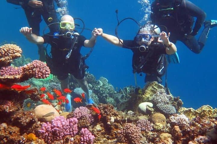 Sharm El Sheikh Magic Trip: Quad Bike Desert Safari, Camel Ride & Intro Scuba photo 6