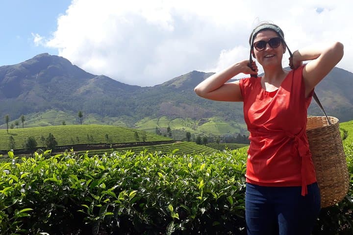 Munnar Tea Cultivation Programme: Guided Tea Farm Experience in the Western Ghats