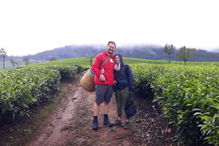 Munnar Tea Cultivation Programme: Guided Tea Farm Experience in the Western Ghats photo 6