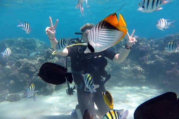 Sharm el Sheikh Beach Introduction Dive — Beginner Scuba Near Naama Bay photo 3