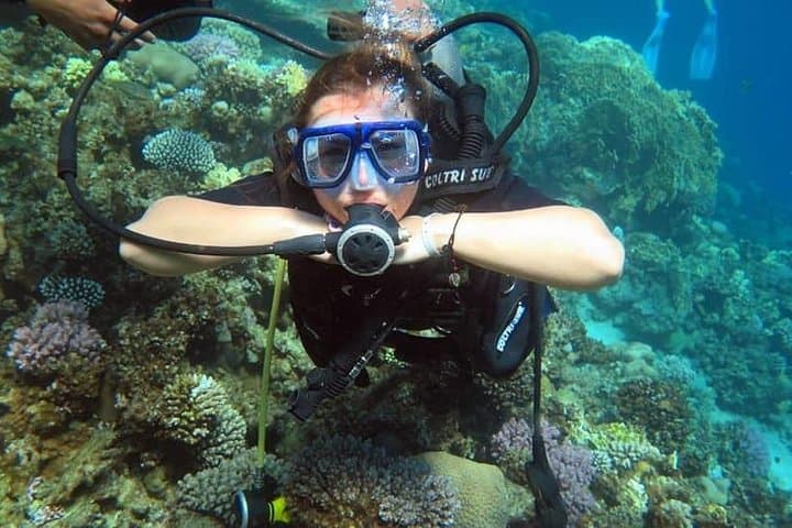 Sharm el Sheikh Beach Introduction Dive — Beginner Scuba Near Naama Bay photo 4
