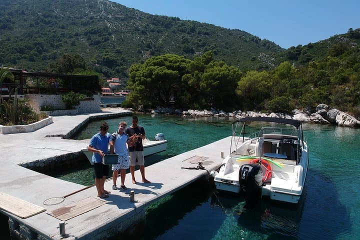 Mljet & North Elaphiti Private Speedboat Tour from Dubrovnik — Day Cruise to Saplunara and Polače photo 3