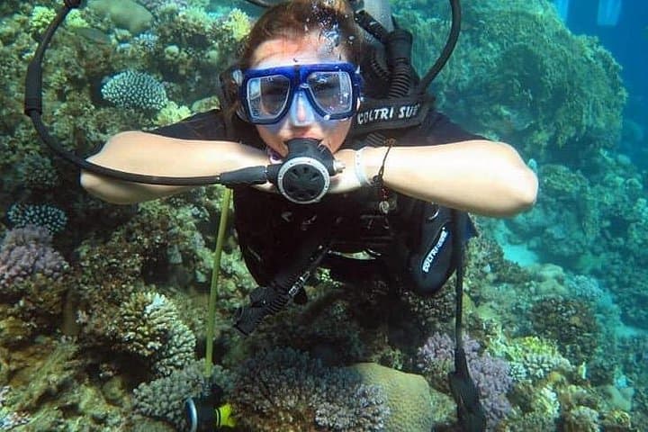 Two Dives at Tiran Island: Full-Day Red Sea Boat Dive from Sharm el-Sheikh photo 1