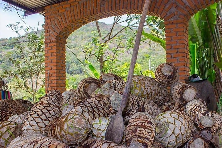 Puerto Vallarta City & Tequila Tour — Malecón, Fire Opal and Hacienda Tasting photo 1