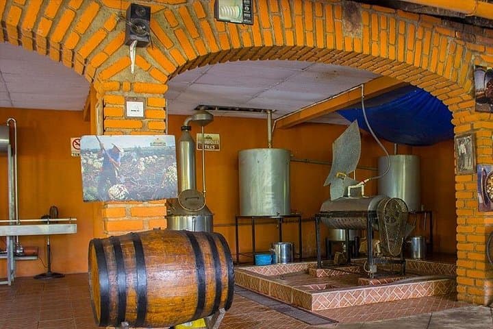 Puerto Vallarta City & Tequila Tour — Malecón, Fire Opal and Hacienda Tasting photo 4