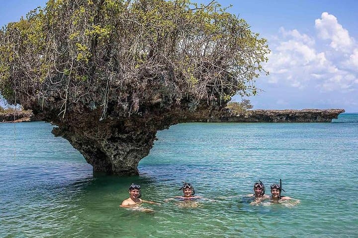 Safari Blue Zanzibar: Full-Day Dhow Trip to Sandbank, Snorkel & Lagoon