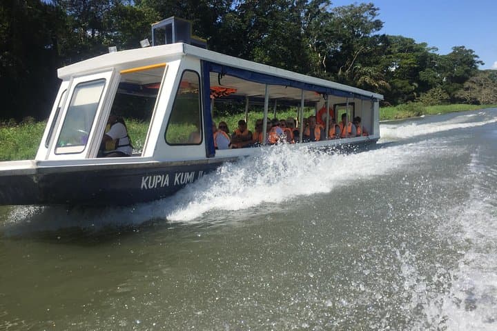 Tamarindo Mangrove Boat Safari: 2-Hour Wildlife Estuary Tour