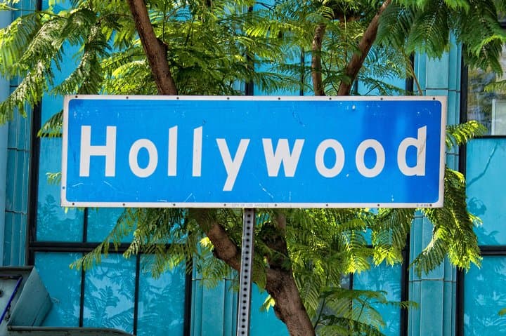 Private Transfer Between Anaheim Resort and Hollywood — Door-to-Door Shuttle Guide photo 2