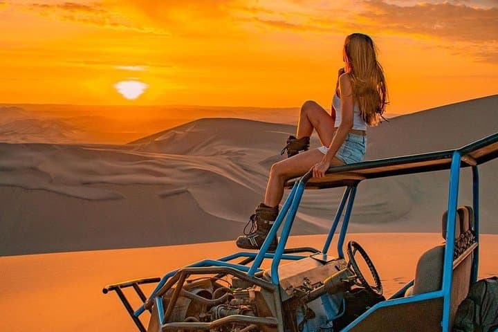 Paracas & Huacachina Day Trip: Ballestas Islands Cruise, Pisco Tasting & Dune Buggies