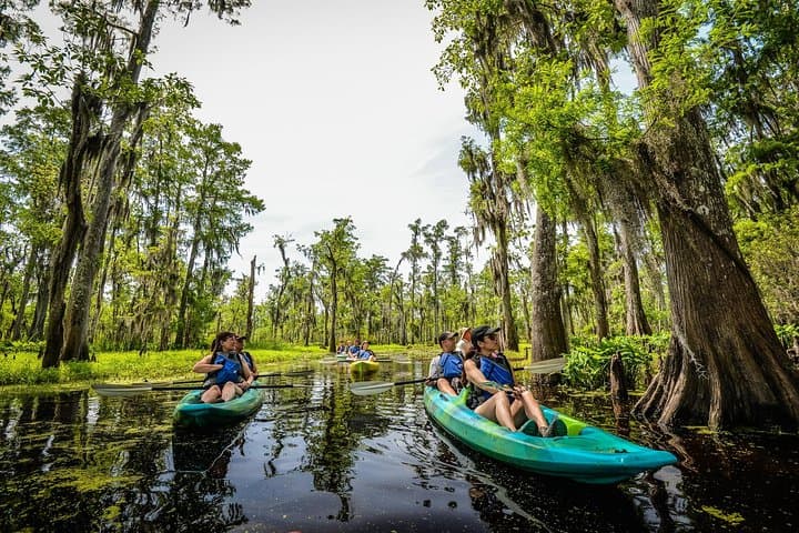Eco Tour in LaPlace, Louisiana
