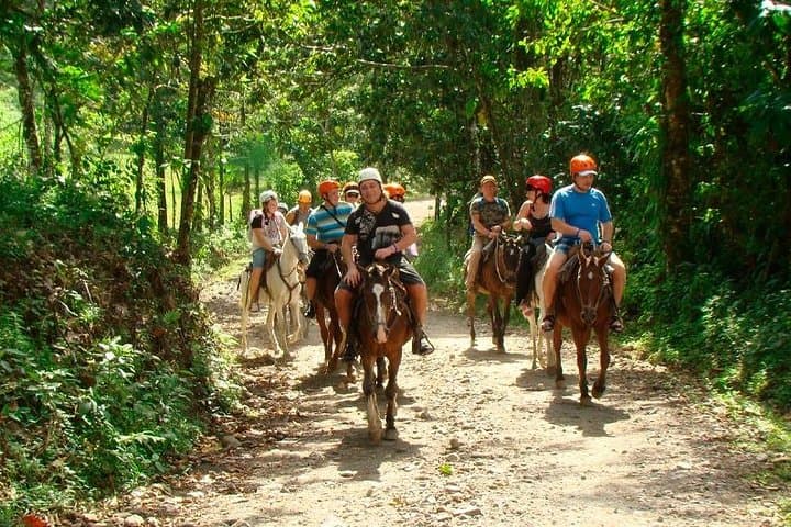 Horseback Ride to La Fortuna Waterfall: Jungle Trails & a 65m Plunge
