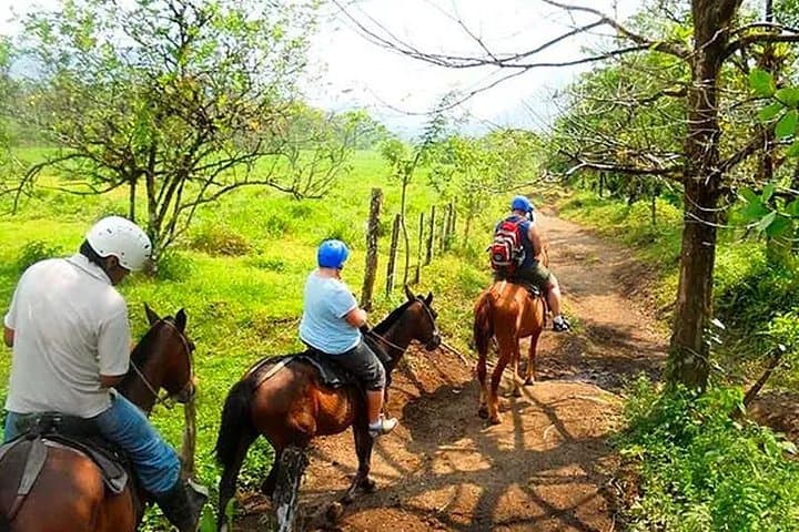 Horseback Ride to La Fortuna Waterfall: Jungle Trails & a 65m Plunge photo 2