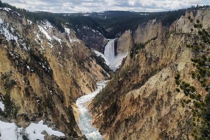 Private Yellowstone Lower Loop Tour — Old Faithful, Grand Prismatic & Canyon in One Day photo 3