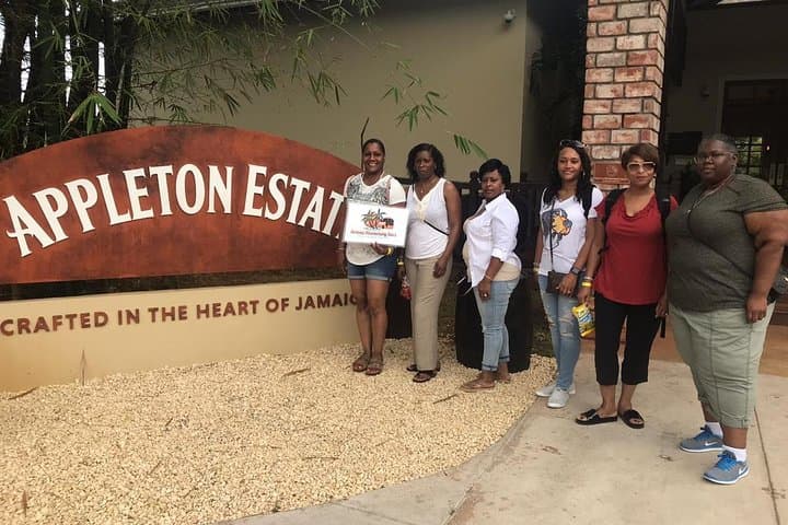 YS Falls, Appleton Estate & Black River Safari — South Coast Jamaica Private Day Tour photo 2