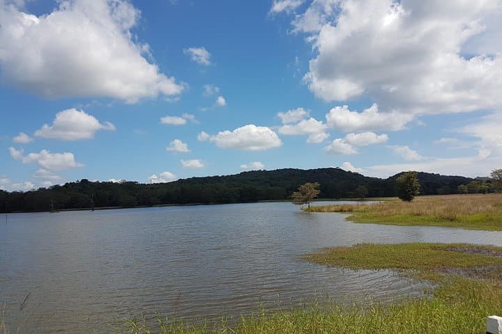 Kaudulla National Park Safari from Sigiriya: Elephant Encounters & Birding in Sri Lanka photo 2