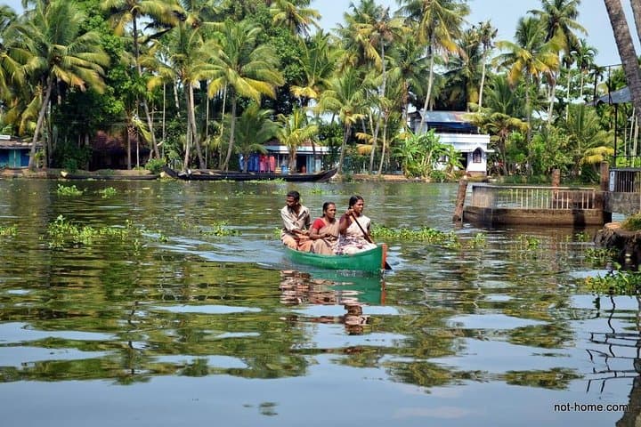 Private Backwater Houseboat Cruise in Alleppey (Alappuzha) — 3-Hour Day Tour with Lunch photo 5