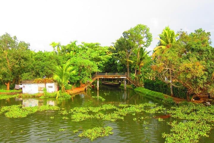 Private Backwater Houseboat Cruise in Alleppey (Alappuzha) — 3-Hour Day Tour with Lunch photo 4