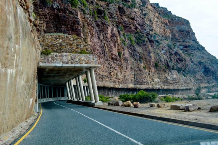 Cape Point & Boulders Beach Private Sightseeing Tour — Penguins, Chapman's Peak and Cape of Good Hope photo 5