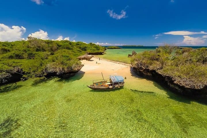2-Day Wasini Dolphin & Kisite Marine Park Dhow Tour from Diani photo 2