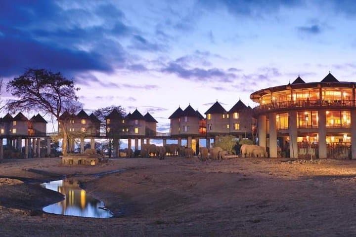 2-Day Taita Hills Safari from Mombasa — Ngutuni & Salt Lick Lodge Game Drives photo 2