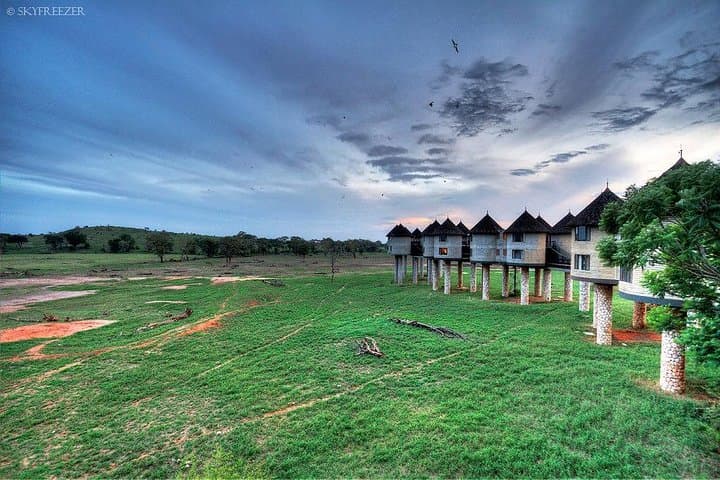 2-Day Taita Hills Safari from Mombasa — Ngutuni & Salt Lick Lodge Game Drives photo 3