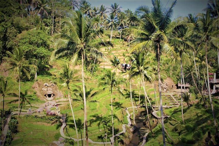 Custom Bali Full-Day Private Tour: Temples, Rice Terraces & Waterfalls photo 4