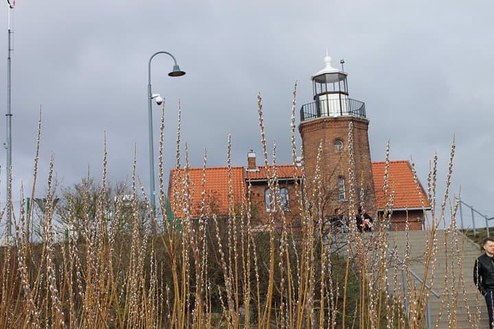 Taste Lithuania Minor: Private Food, Birding & Cultural Day Tour from Klaipėda photo 2