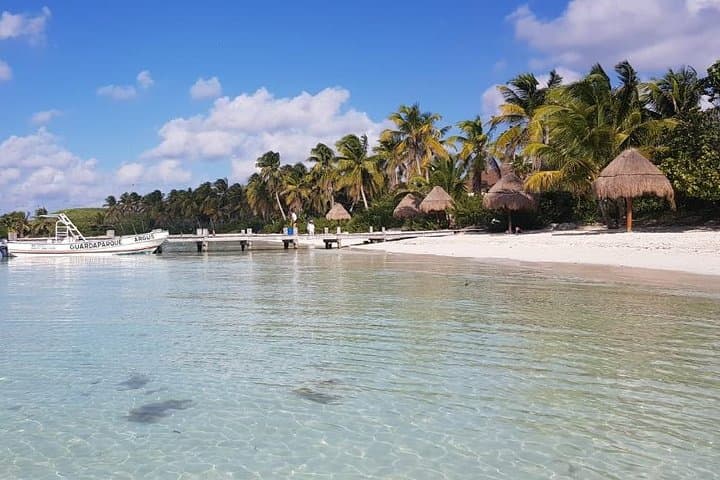 Contoy Island Day Trip: Snorkel Pristine Reefs and See Rays photo 2