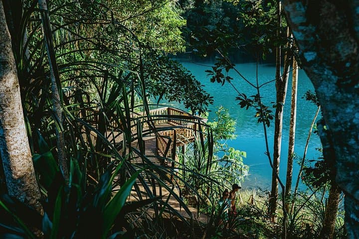 Cairns Waterfall & Rainforest Private Day Tour: Millaa Millaa, Lake Eacham & Natural Rock Slide photo 4