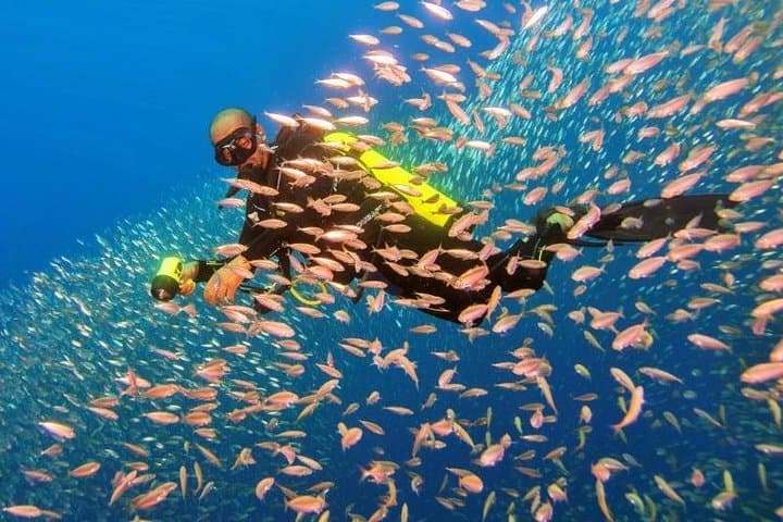 Try Scuba Diving in Aqaba: Shore Dive from Talabay Beach in the Red Sea