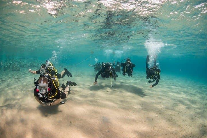 Try Scuba Diving in Aqaba: Shore Dive from Talabay Beach in the Red Sea photo 3