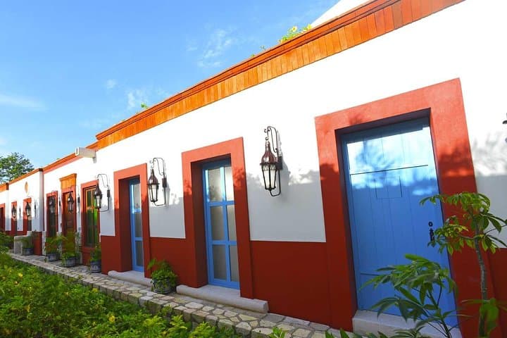Xenses Half-Day Park — Sensory Rides, Slides & Optical Illusions in the Riviera Maya photo 3