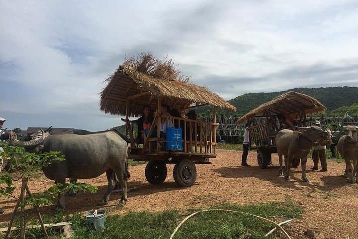 Kampot & Kep Tuk-Tuk Day Trip: Salt Fields, Pepper Plantations & Crab Market photo 1