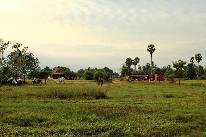 Kampot & Kep Tuk-Tuk Day Trip: Salt Fields, Pepper Plantations & Crab Market photo 3