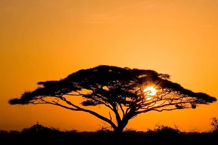 4-Day Masai Mara and Lake Nakuru Safari from Nairobi photo 1