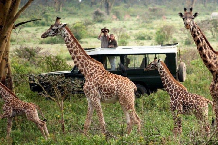4-Day Masai Mara and Lake Nakuru Safari from Nairobi photo 2