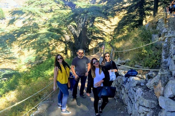 Full-Day Private Tour: Qadisha Valley, Cedars of God & Baalbek from Beirut