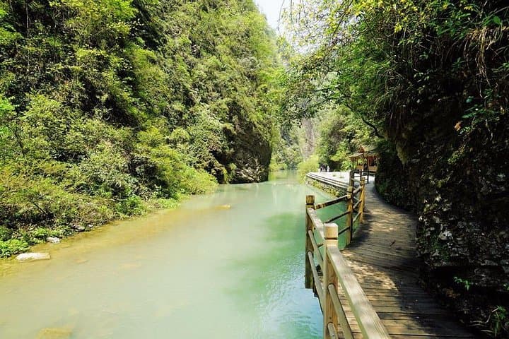 Zhangjiajie Grand Canyon Day Tour — Glass Bridge & Yellow Dragon Cave