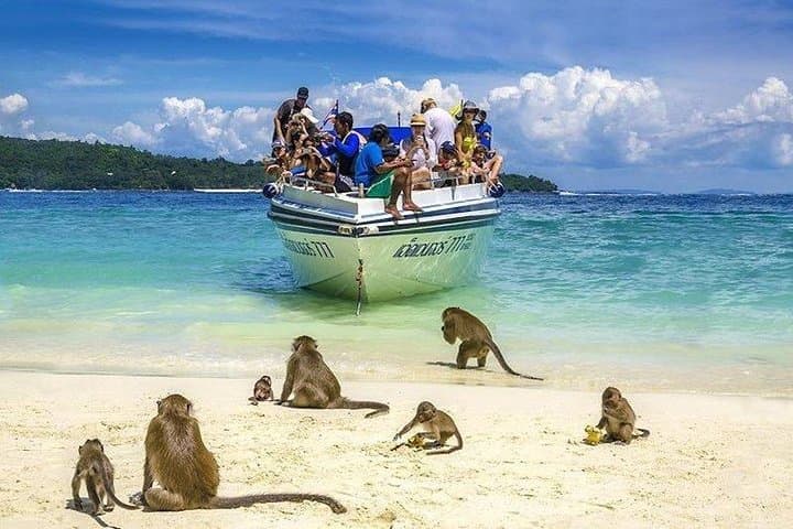Full-Day Phi Phi Islands & Maya Bay Speedboat Tour from Phuket photo 3