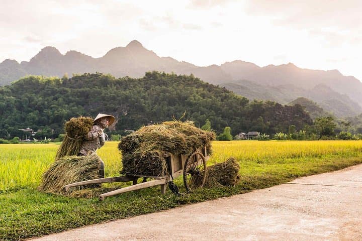 14-Day Vietnam Cycling Tour — Hanoi to the Mekong Delta by Bike photo 4