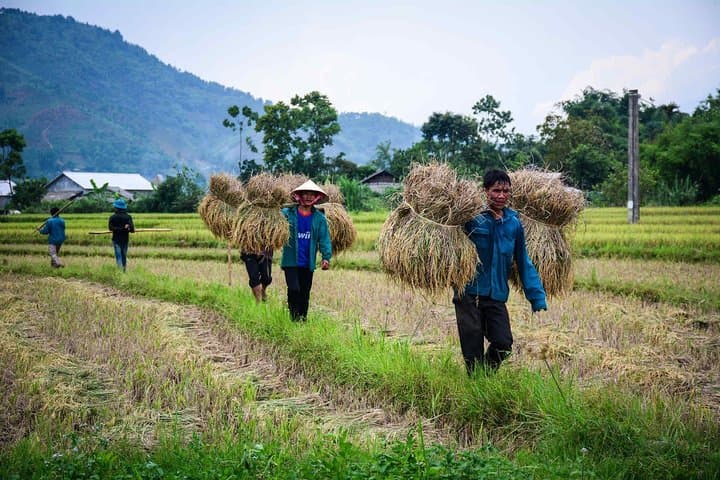 14-Day Vietnam Cycling Tour — Hanoi to the Mekong Delta by Bike photo 5
