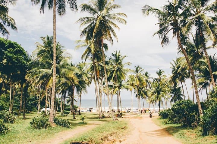Itacaré Surfing & Chocolate: 7-Day Private Bahia Beach and Cocoa-Farm Adventure
