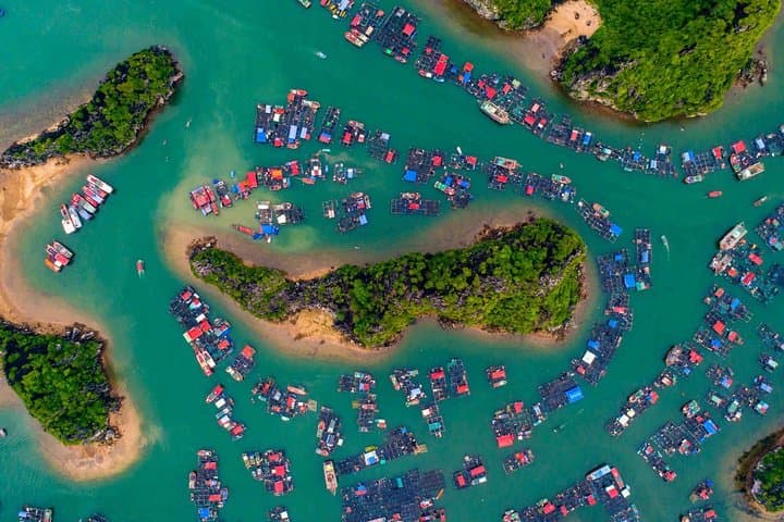 Week-Long Wellness Detox Journey Through Hanoi, Lan Ha Bay & Hue photo 4