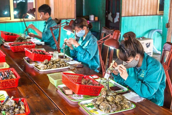 Week-Long Wellness Detox Journey Through Hanoi, Lan Ha Bay & Hue photo 6