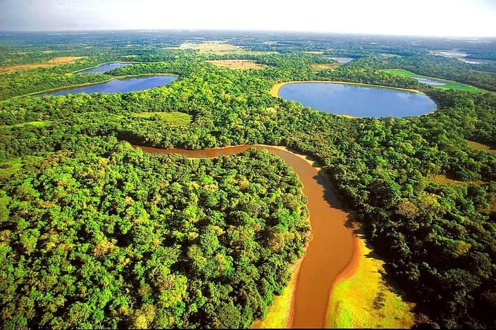 Pantanal and Bonito: 8-Day Private Wildlife, Canoe & Snorkeling Adventure photo 6