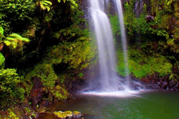 Highlights of Northern Madagascar: 11-Day Private Adventure from Diego Suarez to Nosy Be photo 2